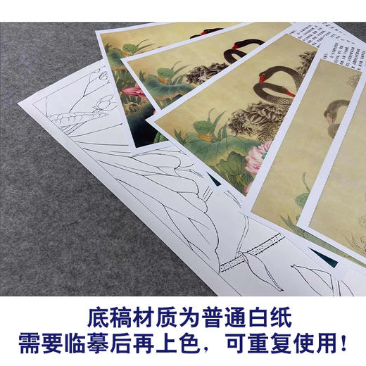 【有步骤、大彩图】郑玲玲工笔画白描稿小品《荷塘细语》荷花天鹅初学者临摹花鸟线稿ZL03 商品图3