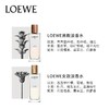 西班牙 LOEWE罗意威 001事后清晨男士/女士香水 50ml/100ml 商品缩略图2