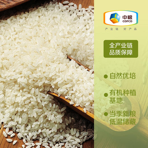 7天鲜磨新米中粮初萃 自然优培五常五优稻4号有机稻花香1kg 商品图1