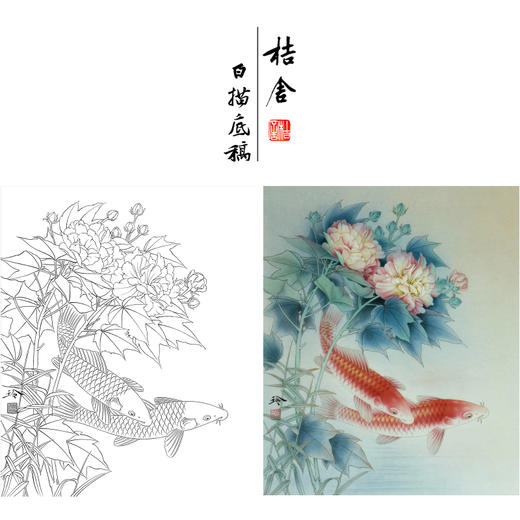 【有步骤、大彩图】郑玲玲工笔画白描底稿《醉清梦》芙蓉鲤鱼初学者临摹花鸟线稿ZL33 商品图0