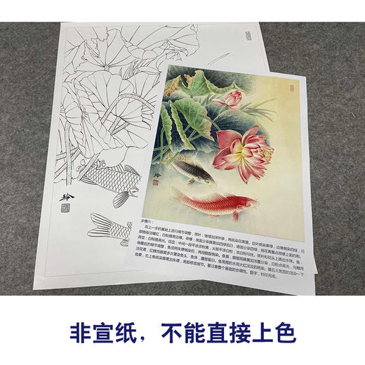 【有步骤、大彩图】郑玲玲工笔画白描底稿《双鲤碧波满塘春》荷花鲤鱼初学者临摹花鸟线稿ZL07 商品图2