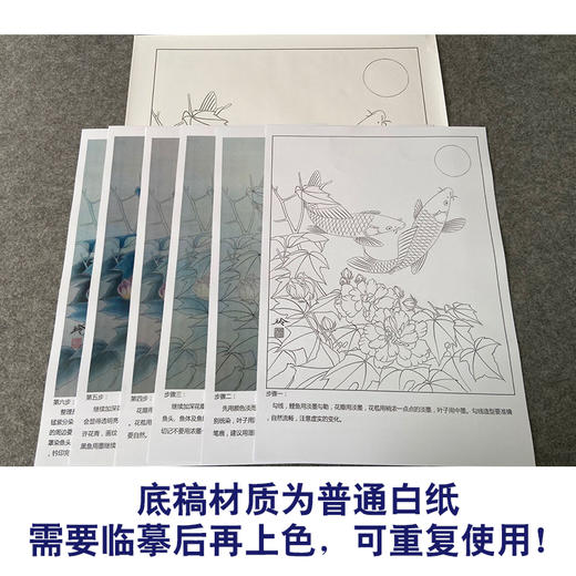【有步骤、大彩图】郑玲玲工笔画白描底稿《花月同醉》牡丹鲤鱼初学者临摹花鸟线稿ZL34 商品图3