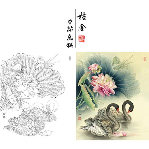 【有步骤、大彩图】郑玲玲工笔画白描底稿《朝朝暮暮永相随》荷花天鹅初学者临摹花鸟线稿ZL01 商品图0