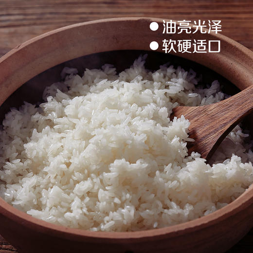 7天鲜磨新米中粮初萃 自然优培五常五优稻4号有机稻花香1kg 商品图2