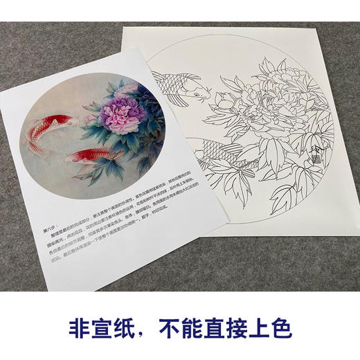 【有步骤、大彩图】郑玲玲工笔画白描稿圆形小品《夏日凝香》牡丹鲤鱼初学者临摹花鸟线稿ZL25 商品图2