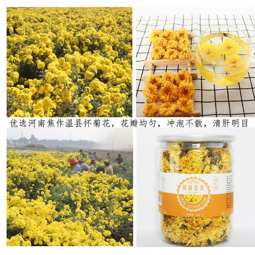 河南焦作怀菊花茶代用茶茶饮45g盒装 商品图1