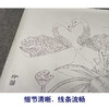 【有步骤、大彩图】郑玲玲工笔画白描底稿小品《又见荷塘春意浓》荷花天鹅初学者临摹花鸟线稿ZL02 商品缩略图4