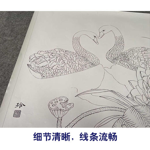 【有步骤、大彩图】郑玲玲工笔画白描底稿小品《又见荷塘春意浓》荷花天鹅初学者临摹花鸟线稿ZL02 商品图4
