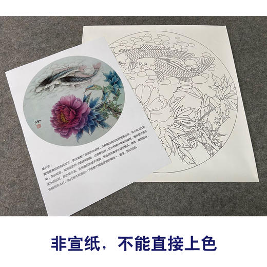 【有步骤、大彩图】郑玲玲工笔画白描底稿圆形小品《烟雨情深》牡丹鲤鱼初学者临摹花鸟线稿ZL24 商品图2