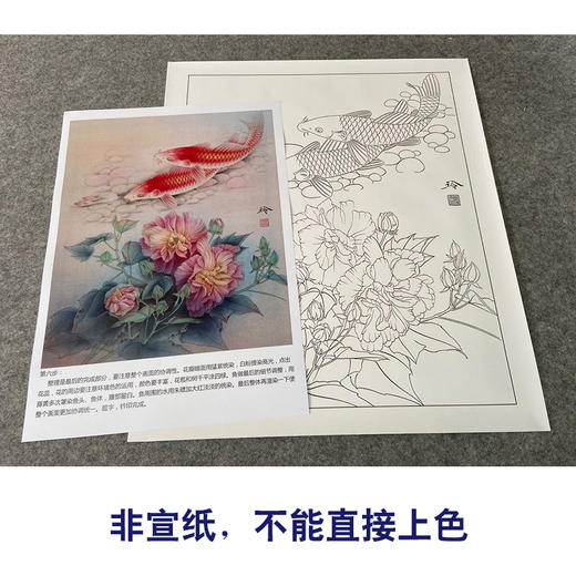 【有步骤、大彩图】郑玲玲工笔画白描底稿《梦里花开》牡丹鲤鱼初学者临摹花鸟线稿ZL37 商品图2