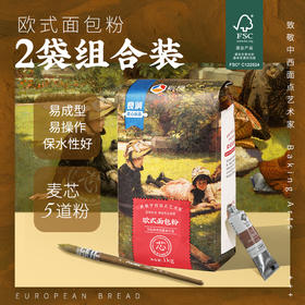 新良大师系列欧式面包粉1kg*2 高筋面粉烘焙原料碱水法式长棍面包