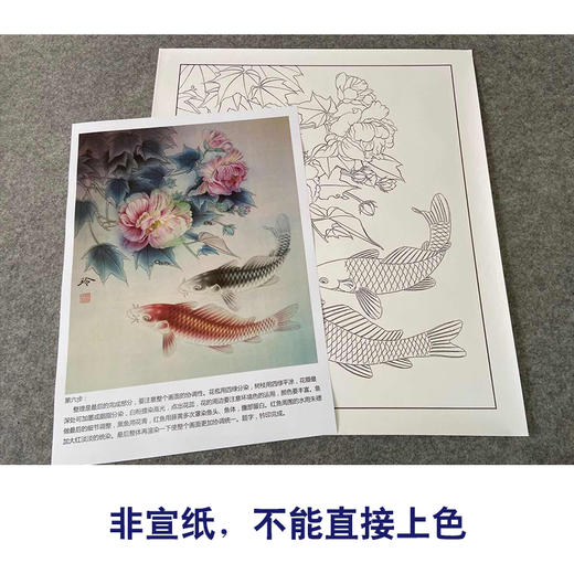 【有步骤、大彩图】郑玲玲工笔画白描底稿《锦上添花》鲤鱼初学者临摹花鸟线稿ZL39 商品图2