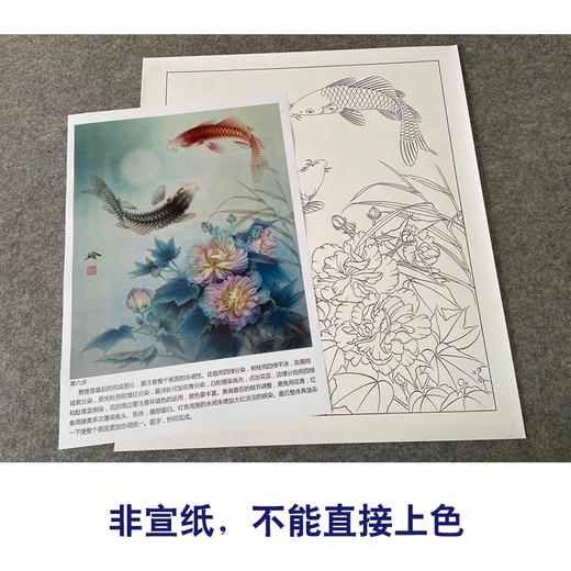 【有步骤、大彩图】郑玲玲工笔画白描底稿《月光如水》芙蓉鲤鱼初学者临摹花鸟线稿ZL38 商品图2