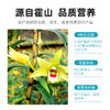 【冬季滋补】【杞里香霍山铁皮石斛礼盒装100g】枫斗粉鲜条干条花茶霍山旗舰店
胶多渣少  中秋新年送亲朋好友 商品缩略图2