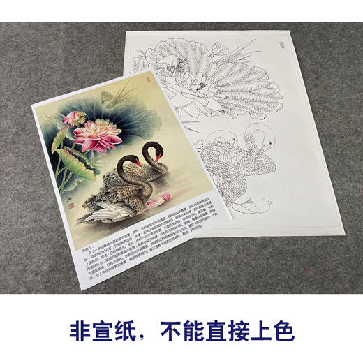 【有步骤、大彩图】郑玲玲工笔画白描底稿《朝朝暮暮永相随》荷花天鹅初学者临摹花鸟线稿ZL01 商品图2