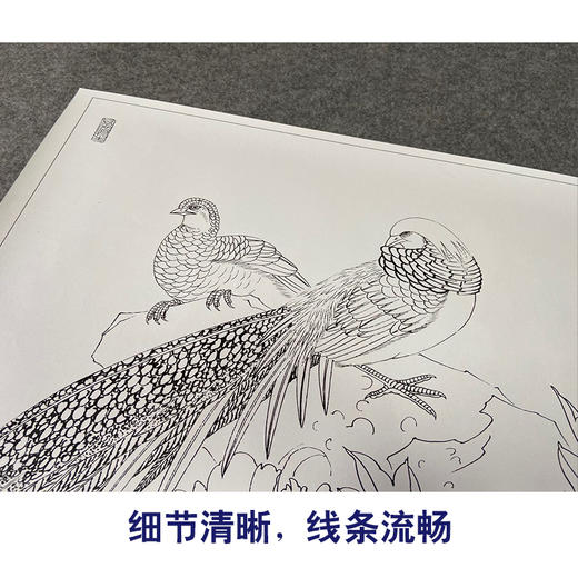【有步骤、大彩图】郑玲玲工笔画白描底稿小品《醉赏春意浓》牡丹锦鸡初学者临摹花鸟线稿ZL09 商品图4