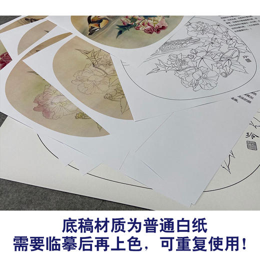 【有步骤、大彩图】郑玲玲工笔画白描底稿小品《芙蓉鸳鸯图》初学者临摹花鸟线稿ZL13 商品图3
