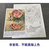 【有步骤、大彩图】郑玲玲工笔画白描稿《双锦比翼》牡丹鲤鱼初学者临摹花鸟线稿ZL40 商品缩略图2
