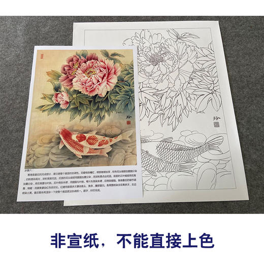 【有步骤、大彩图】郑玲玲工笔画白描稿《双锦比翼》牡丹鲤鱼初学者临摹花鸟线稿ZL40 商品图2