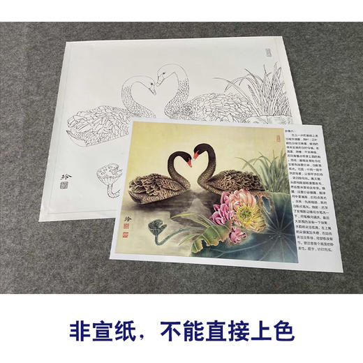 【有步骤、大彩图】郑玲玲工笔画白描底稿小品《又见荷塘春意浓》荷花天鹅初学者临摹花鸟线稿ZL02 商品图2