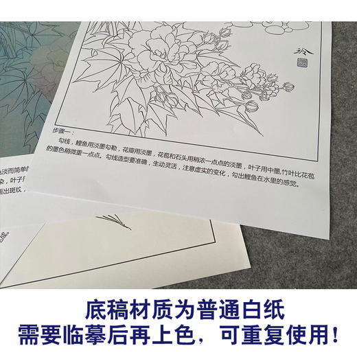 【有步骤、大彩图】郑玲玲工笔画白描底稿《清水逐》芙蓉鲤鱼初学者临摹花鸟线稿ZL32 商品图3