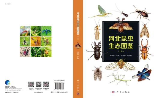 河北昆虫生态图鉴（上下卷）-分销 商品图2