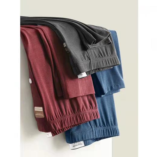 三针发热纤维净色圆领男内衣5605 商品图2