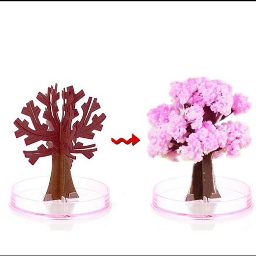 【趣味科学 魔法圣诞结晶树】魔法圣诞结晶树纸上开花科学实验 商品图7