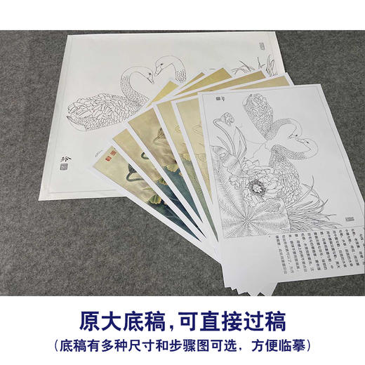 【有步骤、大彩图】郑玲玲工笔画白描底稿小品《又见荷塘春意浓》荷花天鹅初学者临摹花鸟线稿ZL02 商品图1