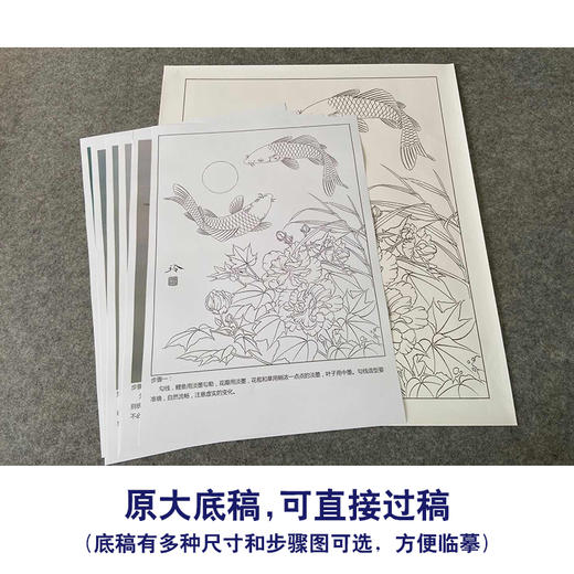 【有步骤、大彩图】郑玲玲工笔画白描底稿《月光如水》芙蓉鲤鱼初学者临摹花鸟线稿ZL38 商品图1