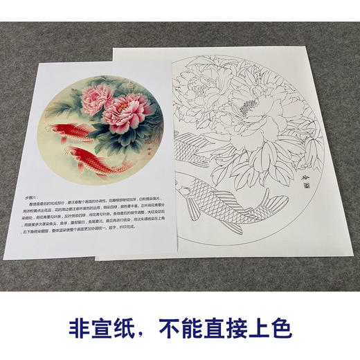 【有步骤、大彩图】郑玲玲工笔画白描底稿圆形小品《牡丹鲤鱼图》初学者临摹花鸟线稿ZL10 商品图2