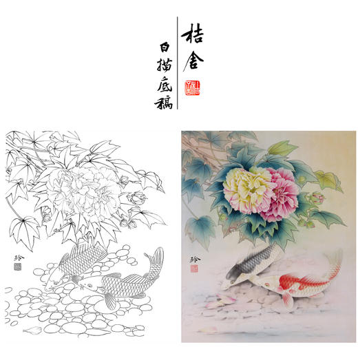 【有步骤、大彩图】郑玲玲工笔画白描底稿《荣华富贵》鲤鱼芙蓉图初学者临摹花鸟线稿ZL43 商品图0