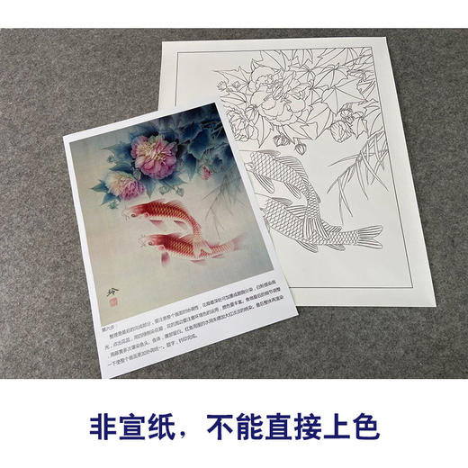 【有步骤、大彩图】郑玲玲工笔画白描稿《朝暮相逐》牡丹鲤鱼初学者临摹花鸟线稿ZL29 商品图2