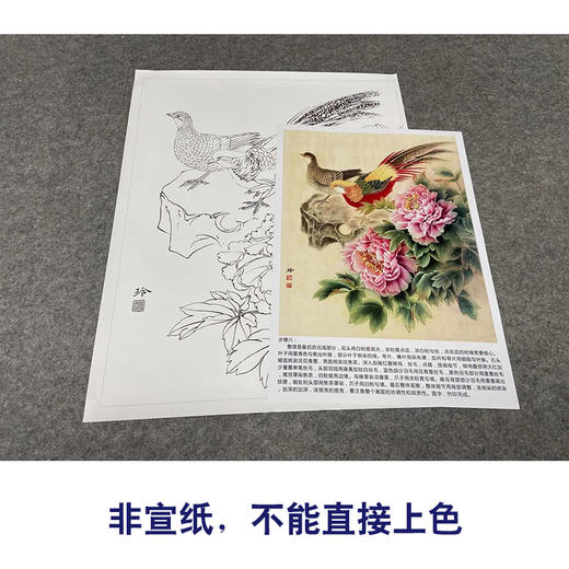 【有步骤、大彩图】郑玲玲工笔画白描底稿《锦色花开》锦鸡牡丹初学者临摹花鸟线稿ZL04 商品图2
