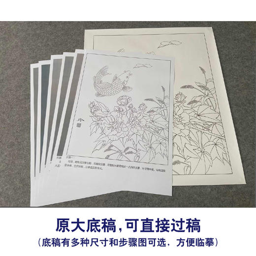 【有步骤、大彩图】郑玲玲工笔画白描底稿《鱼跃龙门》牡丹鲤鱼初学者临摹花鸟线稿ZL35 商品图1