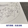 【有步骤、大彩图】郑玲玲工笔画白描底稿小品《芙蓉鸳鸯图》初学者临摹花鸟线稿ZL13 商品缩略图4
