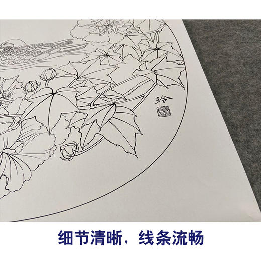 【有步骤、大彩图】郑玲玲工笔画白描底稿小品《芙蓉鸳鸯图》初学者临摹花鸟线稿ZL13 商品图4