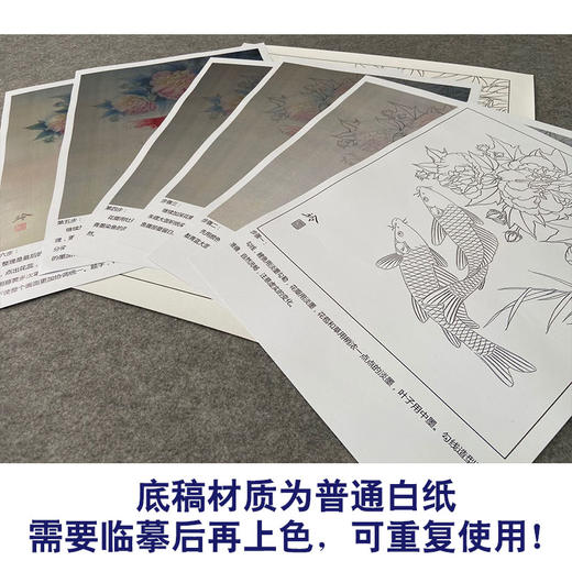 【有步骤、大彩图】郑玲玲工笔画白描稿《朝暮相逐》牡丹鲤鱼初学者临摹花鸟线稿ZL29 商品图3
