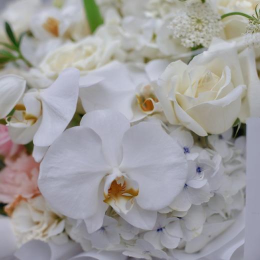 《骄傲》-清新郁金香蝴蝶兰高端花束 商品图4