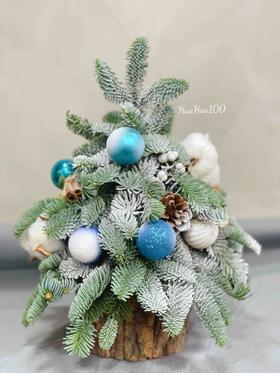 2021圣诞树新款丨进口诺贝松手工圣诞树（4款入）