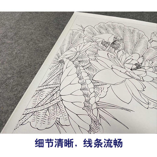 【有步骤、大彩图】郑玲玲工笔画白描底稿《朝朝暮暮永相随》荷花天鹅初学者临摹花鸟线稿ZL01 商品图4