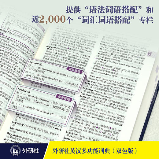 外研社英汉多功能词典:双色版 商品图2