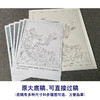 【有步骤、大彩图】郑玲玲工笔画白描底稿《花月同醉》牡丹鲤鱼初学者临摹花鸟线稿ZL34 商品缩略图1