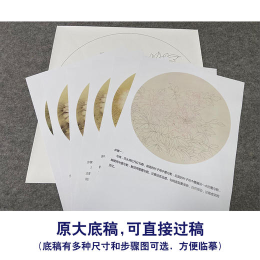 【有步骤、大彩图】郑玲玲工笔画白描底稿圆形小品《春分蝴蝶梦花间》牡丹蝴蝶初学者临摹花鸟线稿ZL12 商品图1