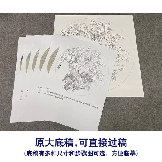 【有步骤、大彩图】郑玲玲工笔画白描稿圆形小品《晨曦鱼戏》牡丹鲤鱼初学者临摹花鸟线稿ZL23 商品图1
