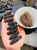 速发海参（已去沙嘴，保温杯80度水泡发24小时即可食用） 商品缩略图2