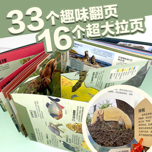 孤独星球·童书系列·星球探秘 动物探秘地图 商品图2