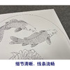 【有步骤、大彩图】郑玲玲工笔画白描底稿圆形小品《闲然自得》牡丹鲤鱼初学者临摹花鸟线稿ZL26 商品缩略图4