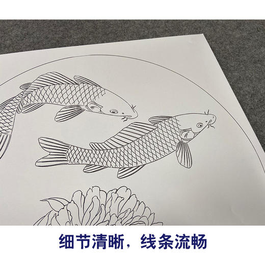 【有步骤、大彩图】郑玲玲工笔画白描底稿圆形小品《闲然自得》牡丹鲤鱼初学者临摹花鸟线稿ZL26 商品图4