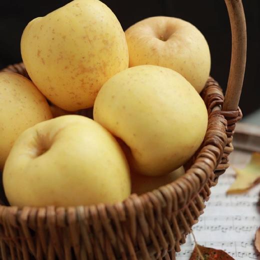 维纳斯黄金苹果 （非奶油富士）4- 4.5斤 商品图1